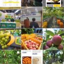 초아농원 이미지