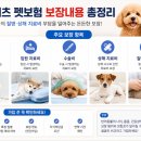 파트너펫 | 메리츠 펫보험 후기 총정리｜보험료 얼마일까? 보장내용·청구방법 총정리(가입 전 꼭 보세요)