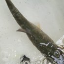 신암1리 이미지