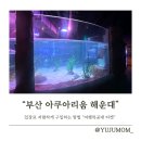 주식회사 깃털 | 부산 아쿠아리움 할인 방법 여행특공대 티켓 이용하기 공연시간 정보