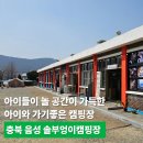 씨유음성메인점 | 아이들이 놀 공간이 가득한, 아이와 가기좋은 캠핑장 충북 음성 솔부엉이캠핑장(10번 사이트, 솔직후기)