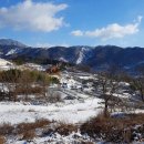 중앙사슴목장 이미지