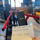 디랙스 퓨어플레이트(체스트프레스,숄더프레스)/옥시즌 하프렉 판매합니다. 이미지