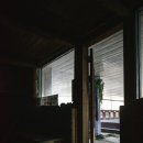 일동하와이 이미지