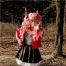 파라키스 이미지