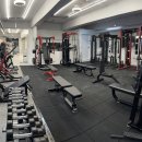 바디와이짐 이미지