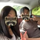 소가 행복한 농장 | 보홀 육상투어 단독차량 기사 내돈내산ㅣ맨메이드포레스트, 안경원숭이, 나비정원, 초콜릿힐, 올래스파...