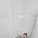 팍스도그트레이닝센터 이미지