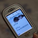 황금오리집 이미지