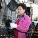 은혜한우마을 이미지