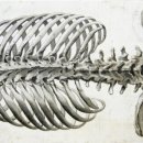 동탄경희한의원 이미지