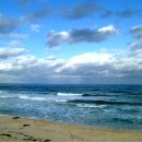 동해바다 이미지