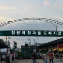 빛과일상사 | 청량리 청과물 시장에서 수박 대성공! 맛있는 수박 고르기, 저렴하게 사는 방법