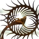 재미난박물관 이미지