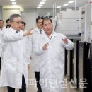 디와이피