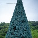 허브아일랜드식물원 | 허브아일랜드 방문 후기, 소니 A7C + 삼양35.4P
