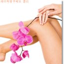 보니따의원 이미지