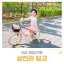 5살 생일선물 추천 삼천리 딩고 18인치 라이트 핑크 후기 사이즈 가이드까지
