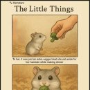 The멍멍 | The GrandView 야경보면서 데이트하기 좋은 장소 뽀개기