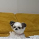 신가네돈이랑덕이랑