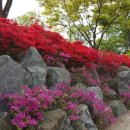 갈월공원 이미지