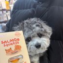 스푼풀코리아 이미지