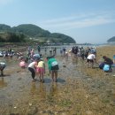 남정초등학교 이미지