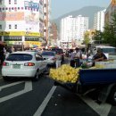 신마산시장 이미지