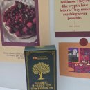 건강행복플러스 | 유기농올리브오일 스틱 추천, 더건강플러스 엑스트라버진 유기농올리브유 후기