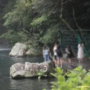 천지연 폭포 이미지