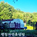 평창 봉평 숙소 추천, 평창자연휴양림 카라반 예약 바베큐 후기