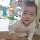 태자수선 네이버블로그