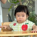 수피아포레스트