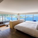 도그센추리 이미지