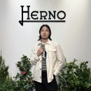 청담25 | HERNO 에르노 청담 매장 남자 자켓 착용 및 SS25 프레스데이 후기