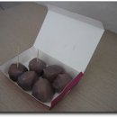 관석 Daum카페