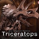 트리케라톱스-1 이미지