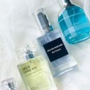 센츄(Scent You)