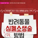 플러스동물의료센터 이미지