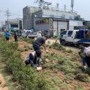 인도변 화단 이미지