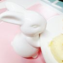 귀여운사자마켓