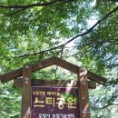 느티공원 Daum카페