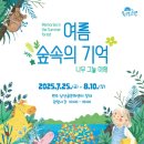 그늘과 빛의 기억  이미지