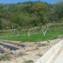 가실농장 이미지