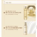 헤라(HERA) | HERA 헤라 기초 시그니아 워터, 세럼, 크림 세트 내돈내산 후기