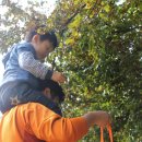 나무와숲어린이집 이미지