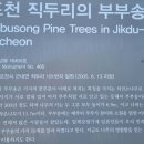 이규채 선생 행적비 이미지