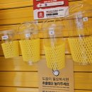 고망고 종로2가점 | [종로 카페] 고망고 종로2가점 / 망고전문점에서 커피시키는 사람이 바로 나야