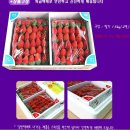 대신주말농장 정보화마을 이미지