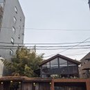 목련@사랑 | (부산/금정구)세계100대 카페선정 온천장카페 모모스 본점_목련명소카페 내돈내산후기